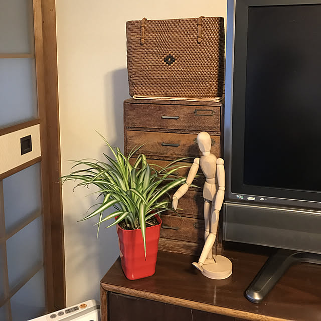 tamaさんの実例写真