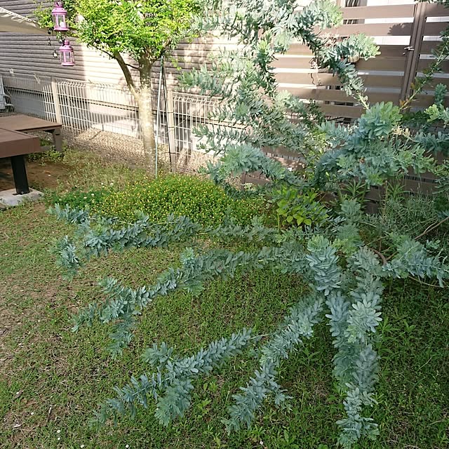 urchinさんの部屋