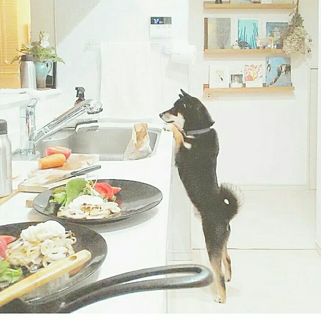 mayuさんの実例写真