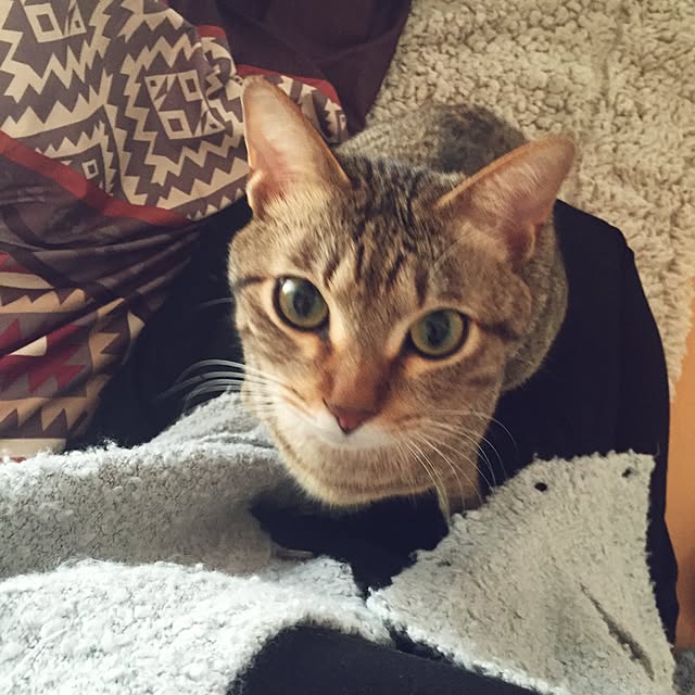 yuki0511さんの実例写真