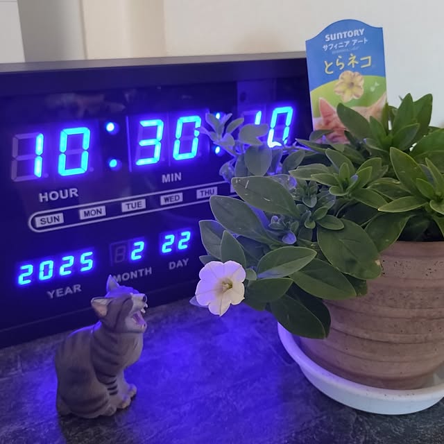 NOAHさんの部屋