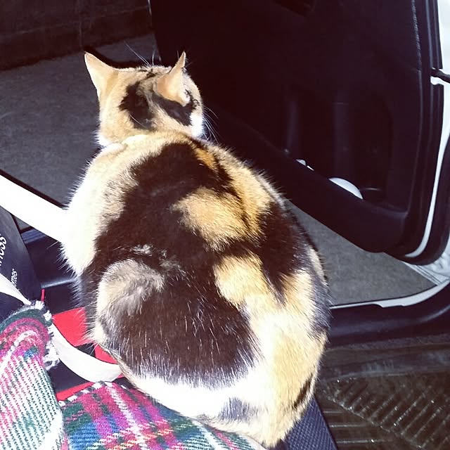 lemoned1126さんの実例写真