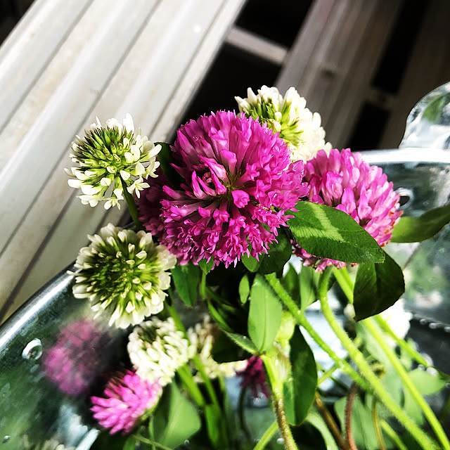 beautifulflowerさんの実例写真