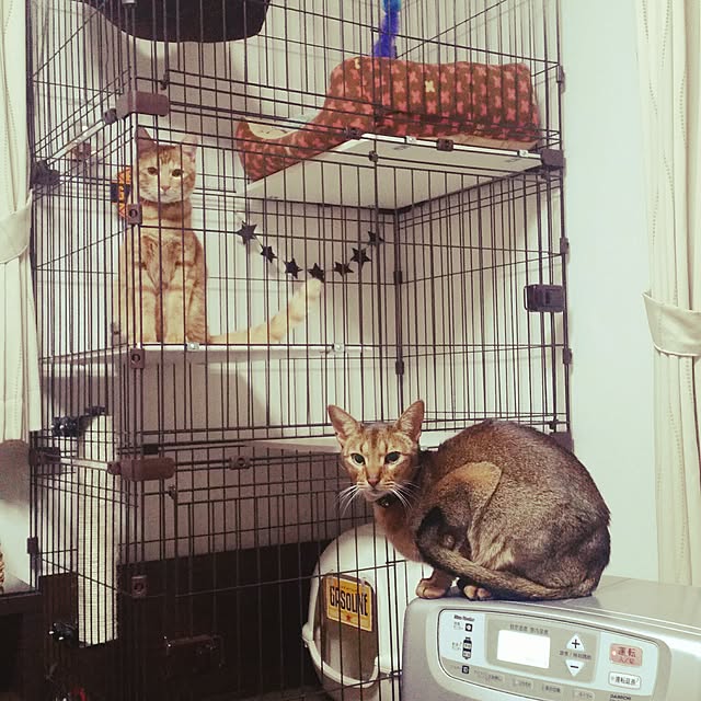 kichiさんの実例写真