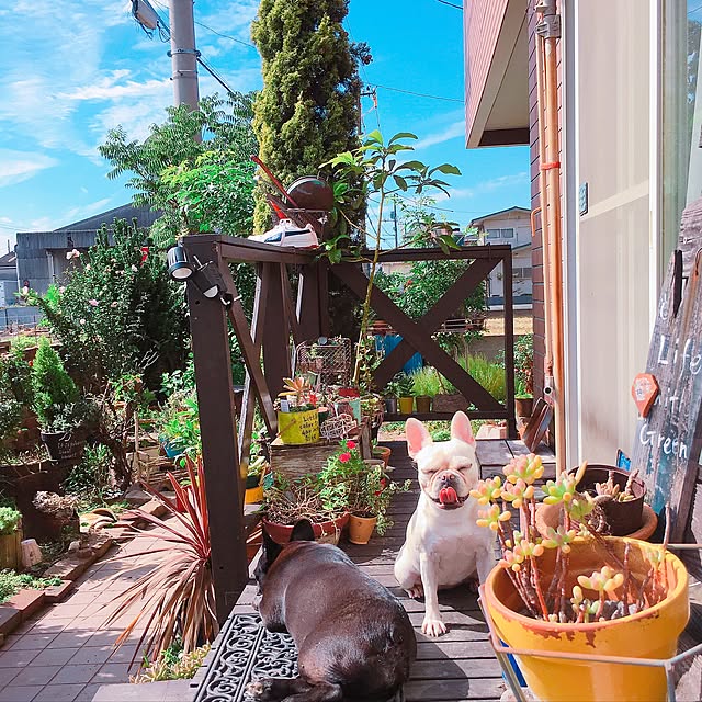 38coreさんの実例写真