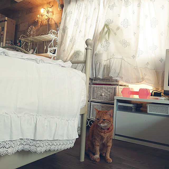 asuminさんの実例写真