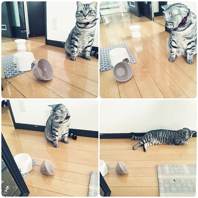 hiro3さんの実例写真