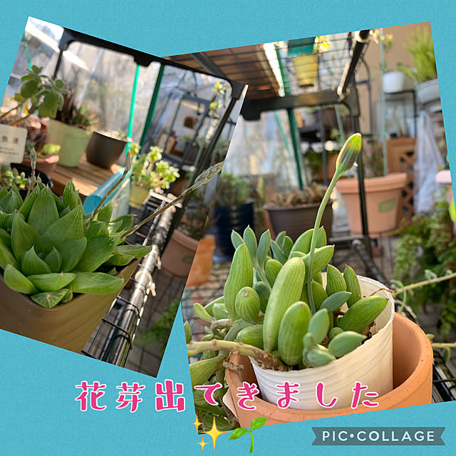 Aqettyさんの部屋
