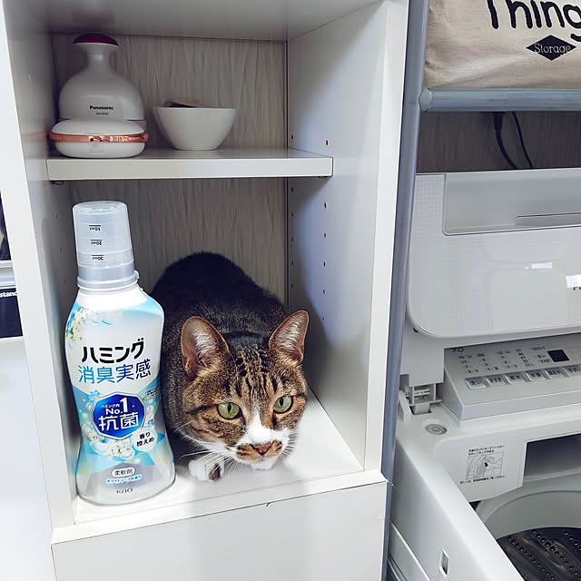 nachiさんの実例写真
