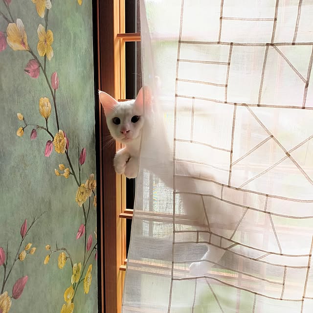 aya_meさんの実例写真