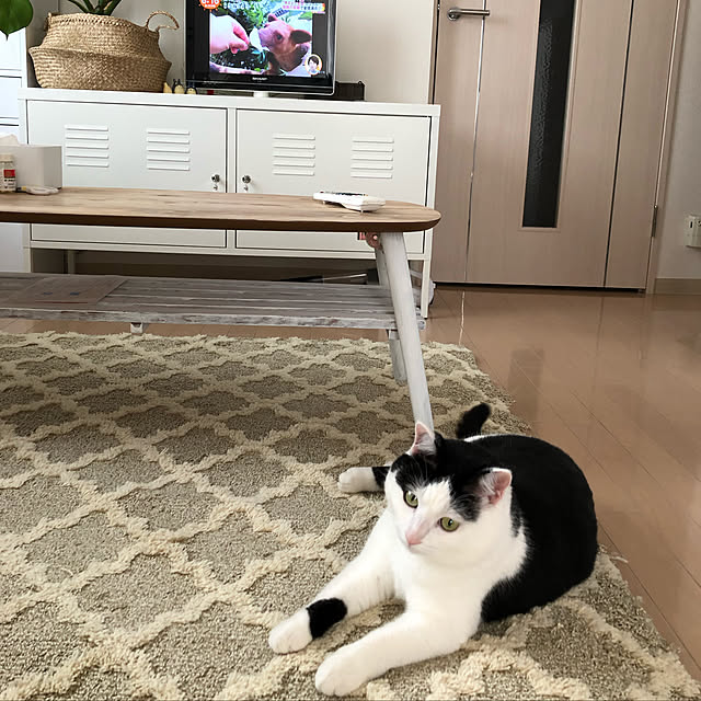 k.Iさんの実例写真