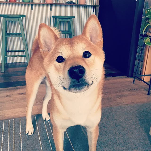 diez_taraさんの実例写真