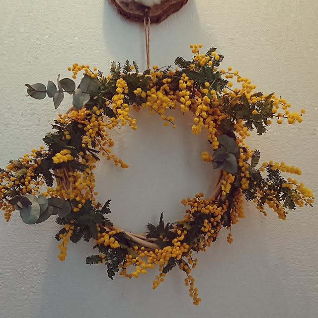 renrinmamaさんの実例写真