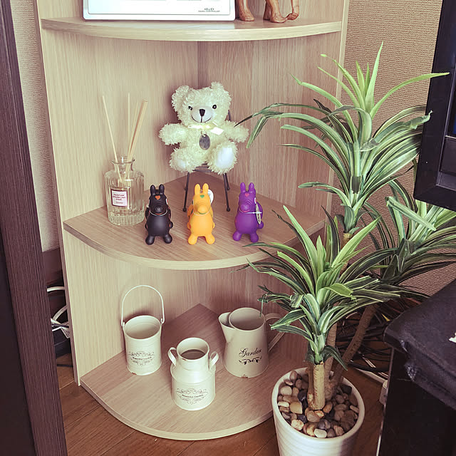 daruさんの実例写真