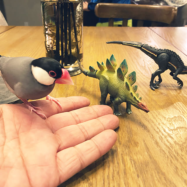 H-iroyaさんの実例写真