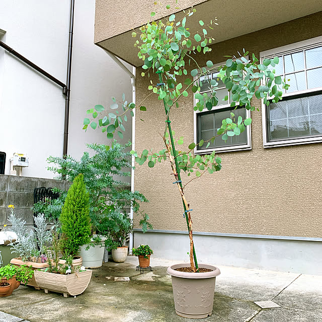 eshinobumさんの実例写真