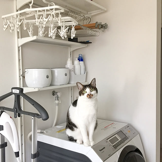 yuchiさんの実例写真