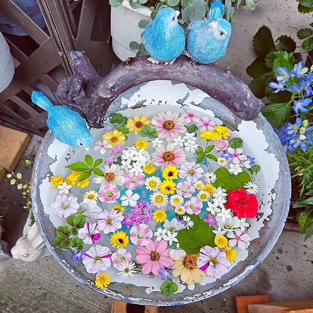 mocomocoさんの実例写真