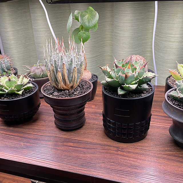 c.kさんの部屋