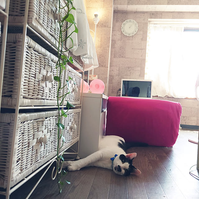 asuminさんの実例写真