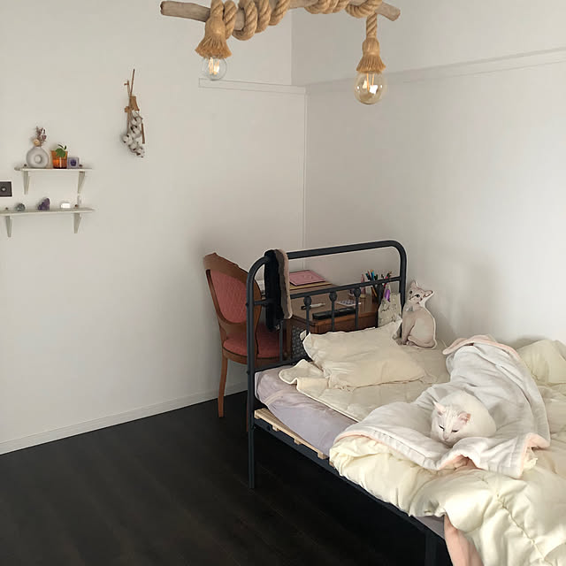 nekotaririさんの実例写真