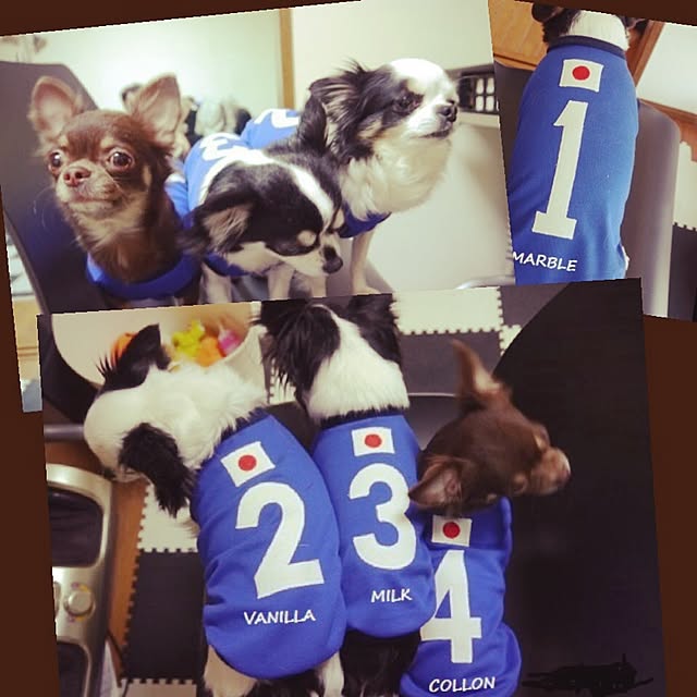 marbleさんの実例写真