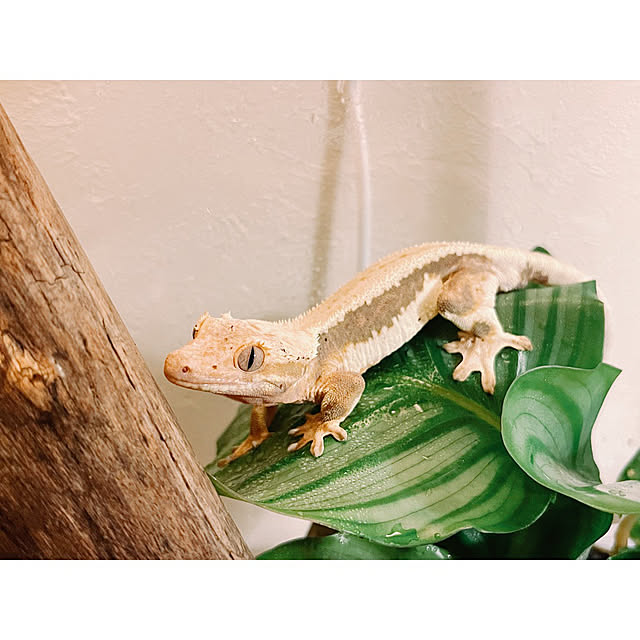 w_end_0625さんの実例写真