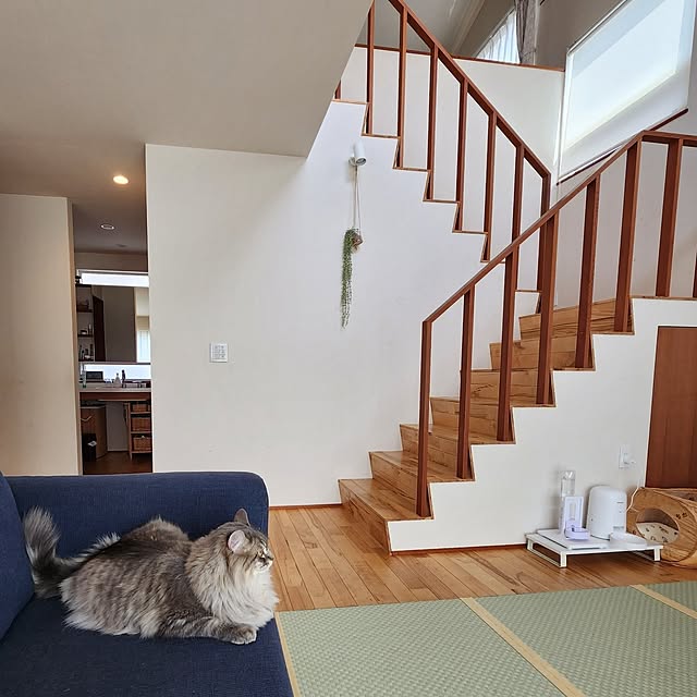 kossyさんの部屋
