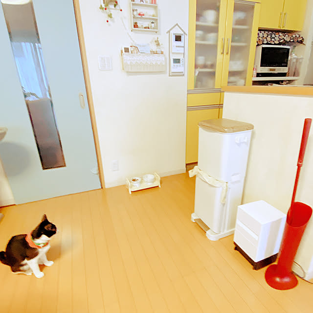 moolさんの実例写真