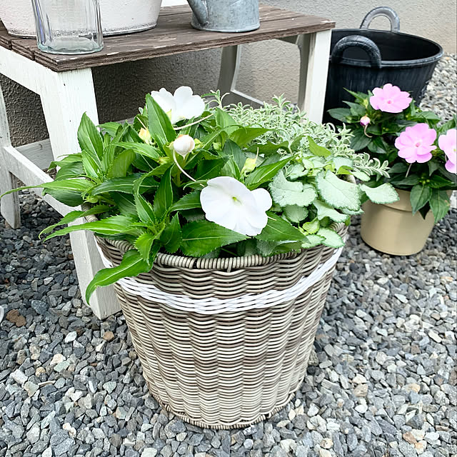 junjunさんの実例写真