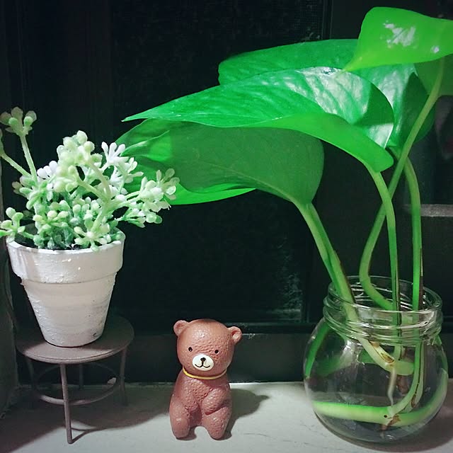 Minnaさんの実例写真