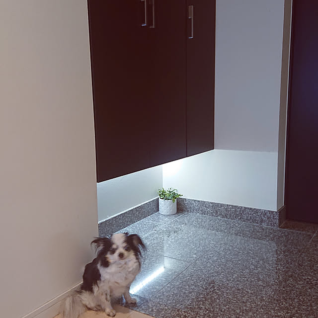 yumegu8さんの実例写真