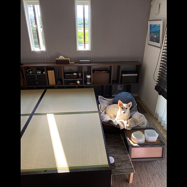 tanboさんの実例写真