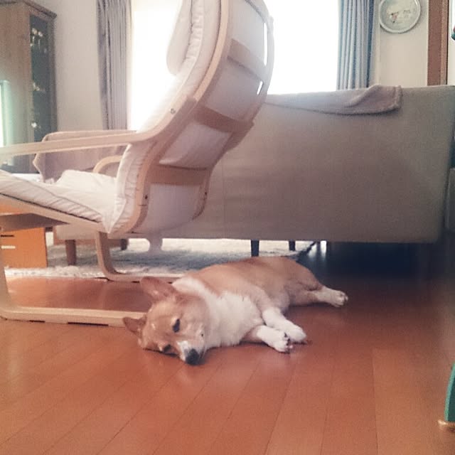 miepinさんの実例写真