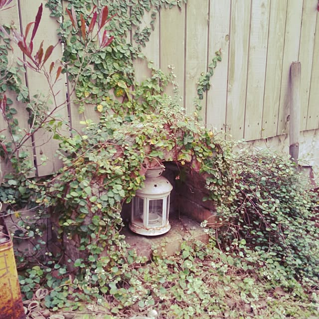 shinorenさんの実例写真