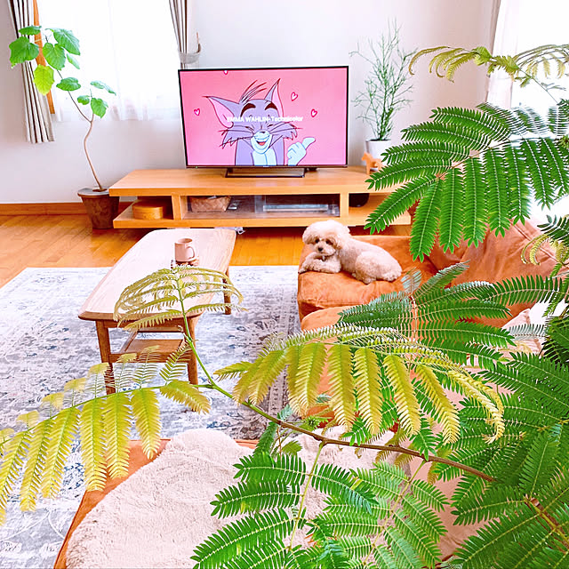teaさんの実例写真