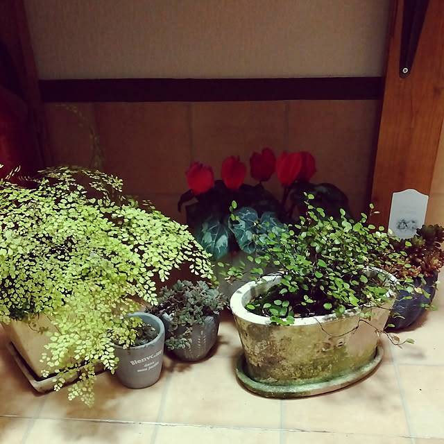 25Moondropsさんの実例写真