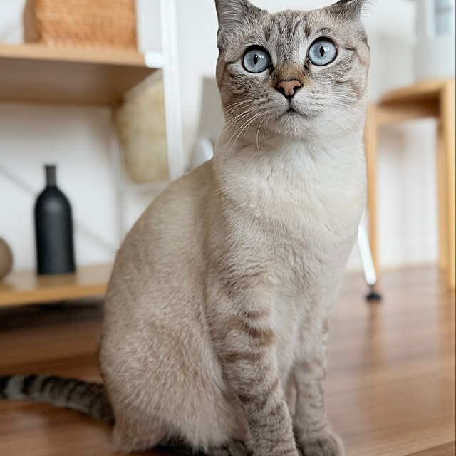 amさんの実例写真