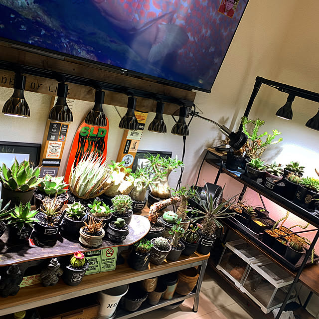 Keisukeさんの部屋