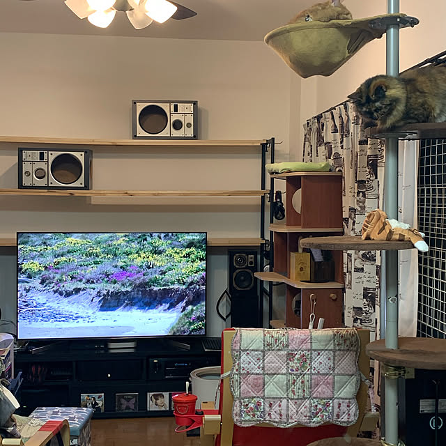 nekohagu2022さんの実例写真