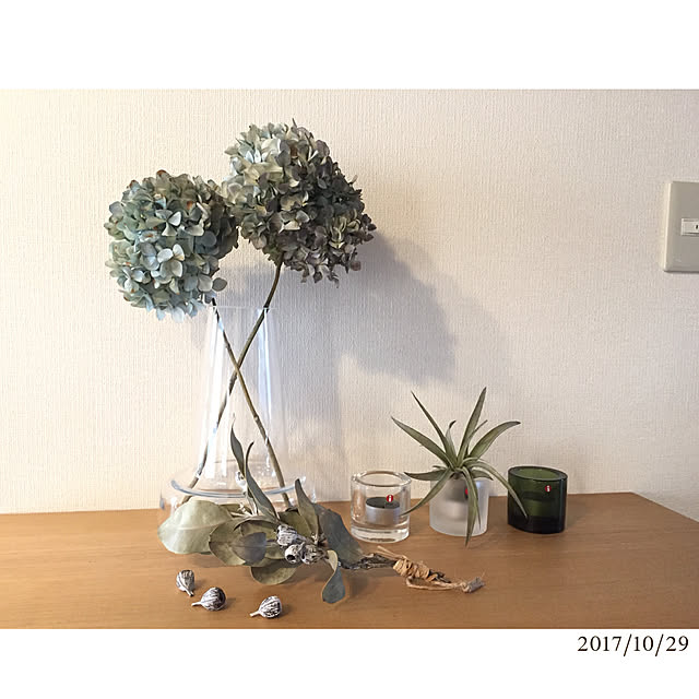minnさんの実例写真