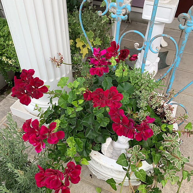 AYUKOさんの実例写真