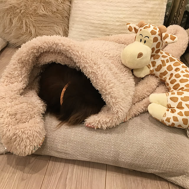 leabiyori88さんの実例写真
