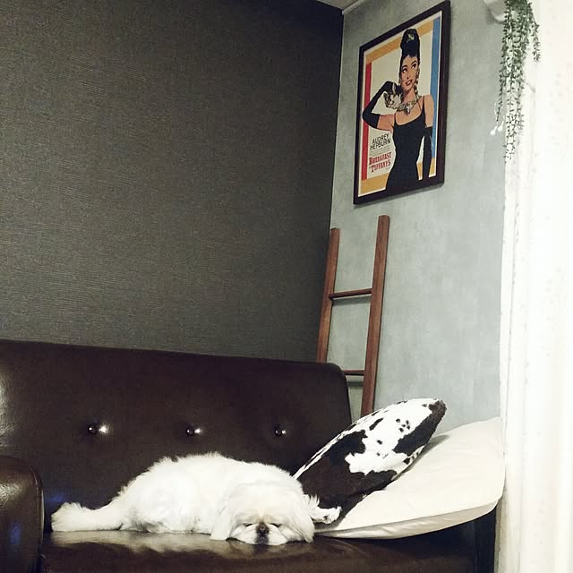 yukagomaさんの実例写真