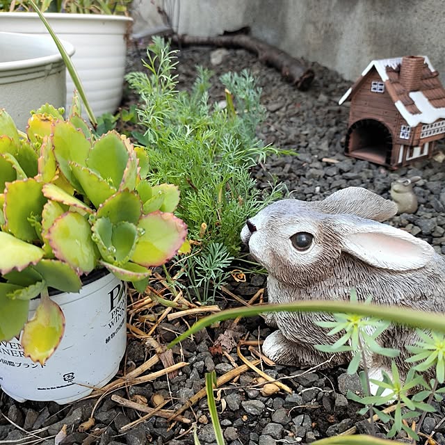 kiraさんの部屋