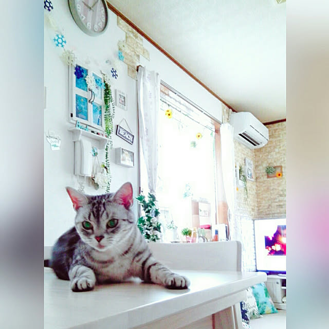 kumingさんの実例写真