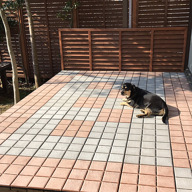 mugijunさんの実例写真