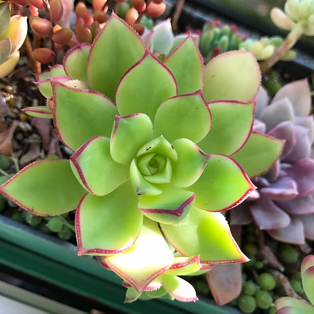 実例写真