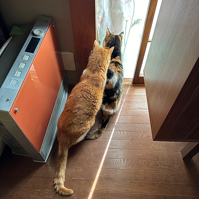 nyanko-beamさんの実例写真