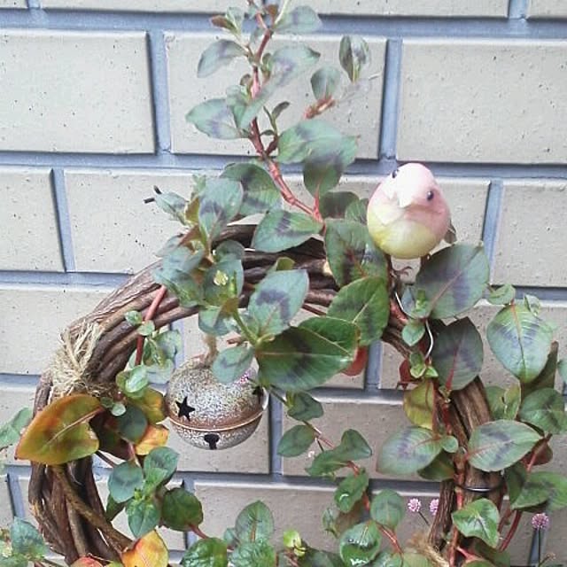 coitakeさんの実例写真